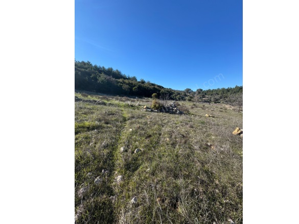Dağpınar Mah. Menteşe Satılık Tarla |  3012M2 1.350.000Tl İmarlı  Resim-3