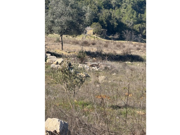Dağpınar Mah. Menteşe Satılık Tarla |  3012M2 1.350.000Tl İmarlı  Resim-4