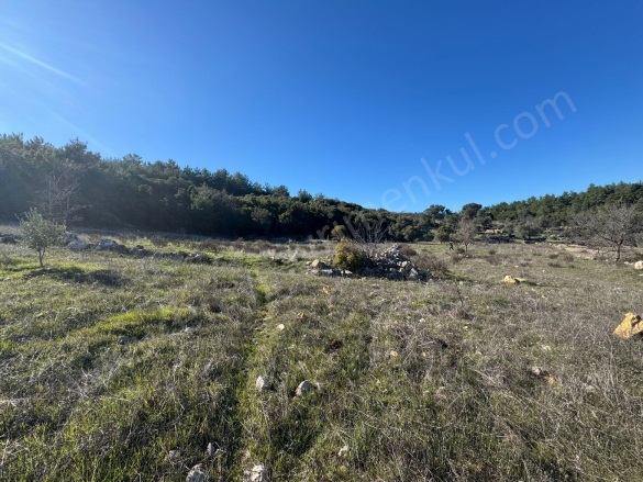 Dağpınar Mah. Menteşe Satılık Tarla |  3012M2 1.350.000Tl İmarlı  Resim-5