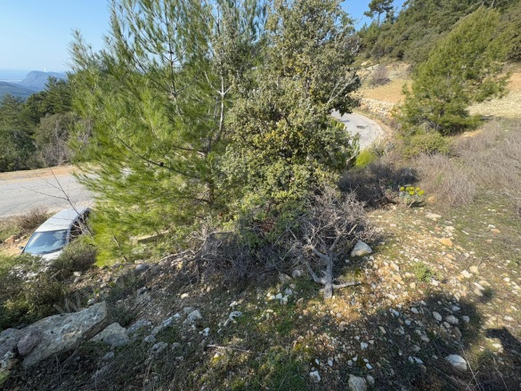 Dağpınar Mah. Menteşe Satılık Tarla |  705M2 1.500.000Tl İmarlı  Resim-2