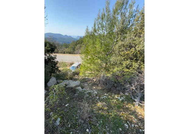 Dağpınar Mah. Menteşe Satılık Tarla |  705M2 1.500.000Tl İmarlı  Resim-4