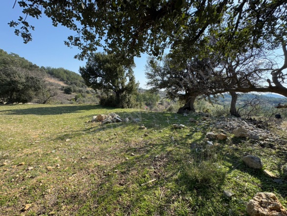 Dağpınar Mah. Menteşe Satılık Tarla |  367M2 1.350.000Tl İmarlı  Resim-1