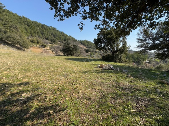 Dağpınar Mah. Menteşe Satılık Tarla |  367M2 1.350.000Tl İmarlı  Resim-2