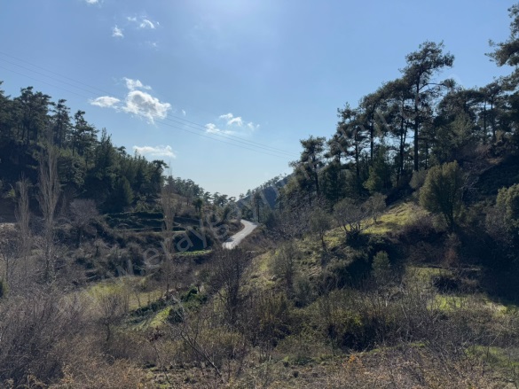 Dağpınar Mah. Menteşe Satılık Tarla |  95M2 450.000Tl Resim-1