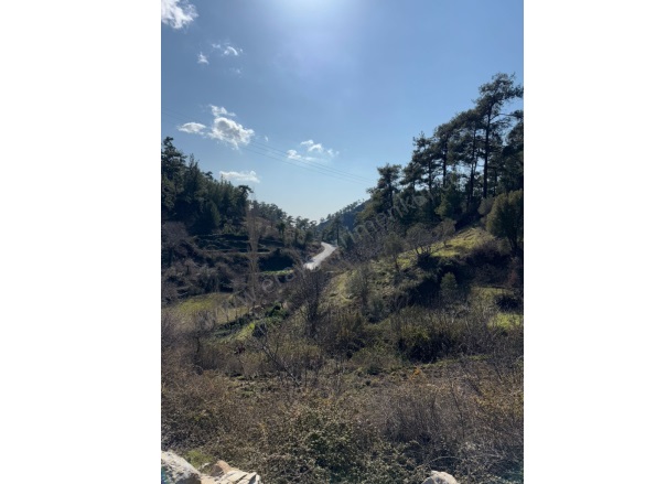 Dağpınar Mah. Menteşe Satılık Tarla |  95M2 450.000Tl Resim-2