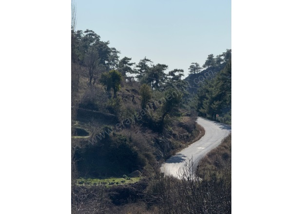 Dağpınar Mah. Menteşe Satılık Tarla |  95M2 450.000Tl Resim-3