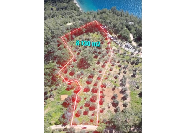 Kıran Mah. Menteşe Satılık Tarla |  8130M2 30.000.000Tl Resim-3