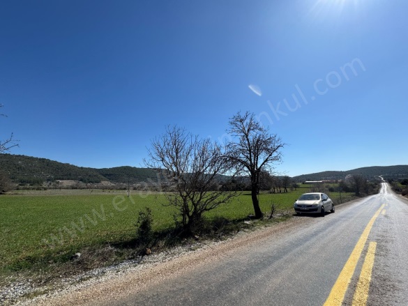 Çiftlik Mah. Menteşe Satılık Tarla |  6290M2 1.950.000Tl Resim-2