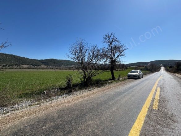 Çiftlik Mah. Menteşe Satılık Tarla |  6290M2 1.950.000Tl Resim-4