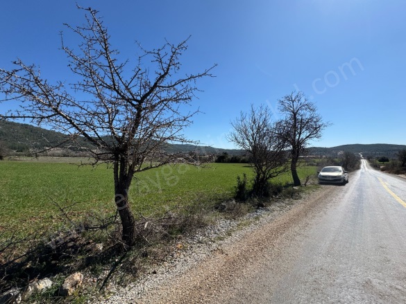 Çiftlik Mah. Menteşe Satılık Tarla |  6290M2 1.950.000Tl Resim-5