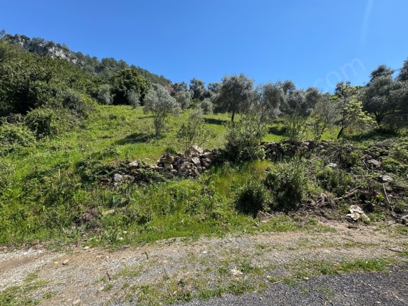 Dağpınar Mah. Menteşe Satılık Tarla |  733M2 1.500.000Tl Resim-2