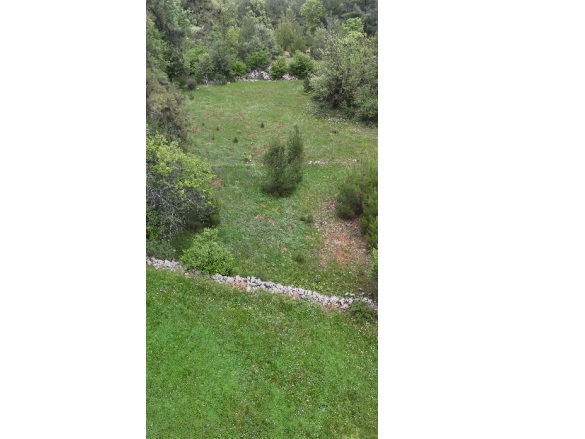 Kıran Mah. Menteşe Satılık Tarla |  4000M2 1.500.000Tl Resim-1