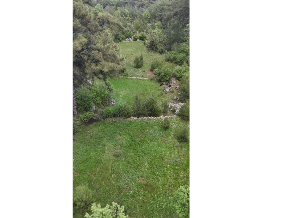 Kıran Mah. Menteşe Satılık Tarla |  4000M2 1.500.000Tl Resim-2