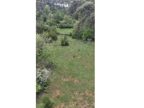 Kıran Mah. Menteşe Satılık Tarla |  4000M2 1.500.000Tl Resim-3