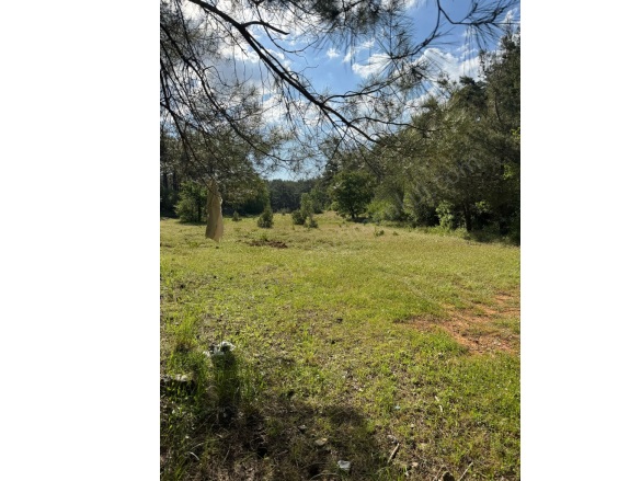 Kıran Mah. Menteşe Satılık Tarla |  678M2 600.000Tl Resim-2