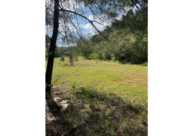 Kıran Mah. Menteşe Satılık Tarla |  678M2 600.000Tl Resim-4