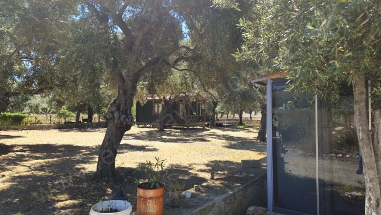 Çökertme Mah. Milas Satılık Tarla |  939M2 12.000.000Tl Resim-1