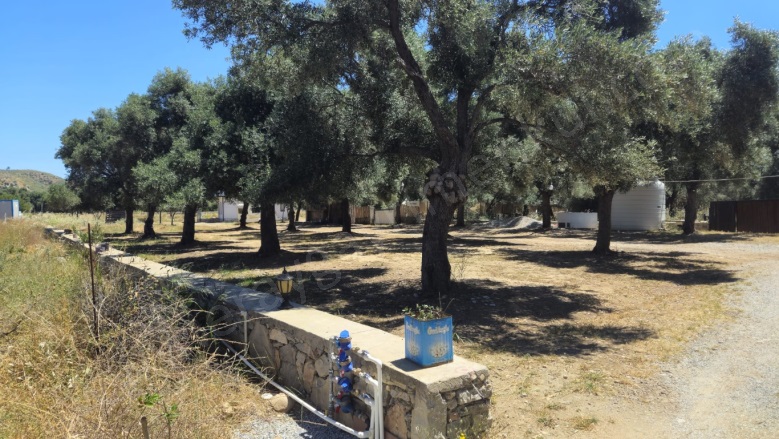 Çökertme Mah. Milas Satılık Tarla |  939M2 12.000.000Tl Resim-2