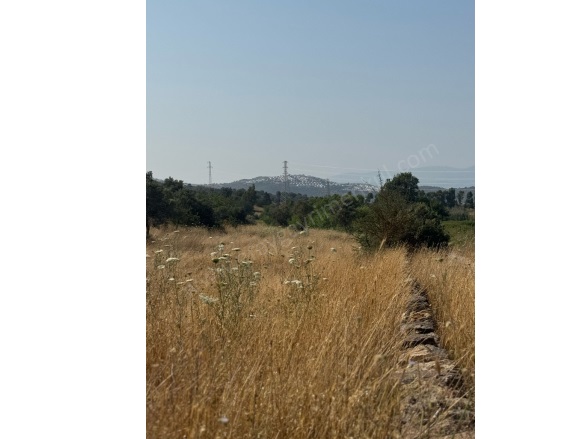 Meşelik Mah. Milas Satılık Tarla |  16670M2 75.000.000Tl Resim-2
