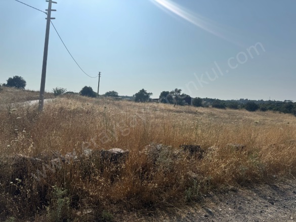 Meşelik Mah. Milas Satılık Tarla |  16670M2 75.000.000Tl Resim-5