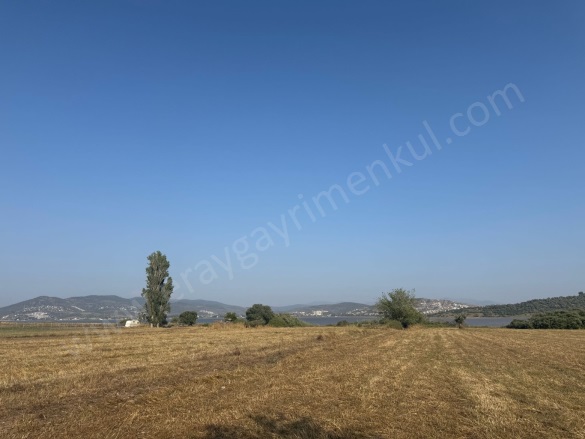 Boğaziçi Mah. Milas Satılık Tarla |  8477M2 45.000.000Tl Resim-3