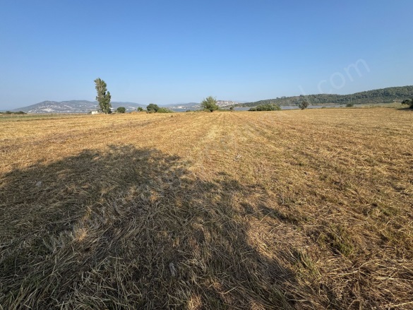 Boğaziçi Mah. Milas Satılık Tarla |  8477M2 45.000.000Tl Resim-4