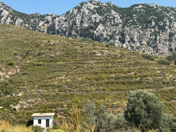 Bozburun Mah. Marmaris Satılık Arsa |  7388M2 12.000.000Tl Resim-3