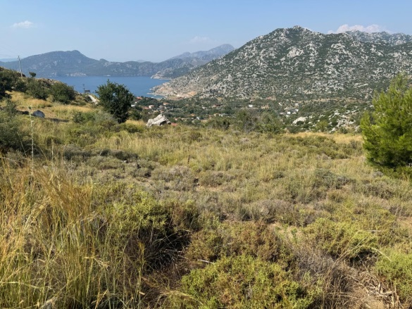 Selimiye Mah. Marmaris Satılık Tarla |  2050M2 10.000.000Tl Resim-1