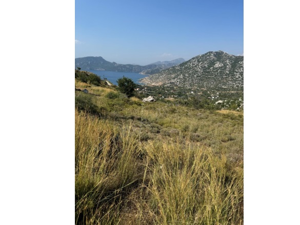 Selimiye Mah. Marmaris Satılık Tarla |  2050M2 10.000.000Tl Resim-2