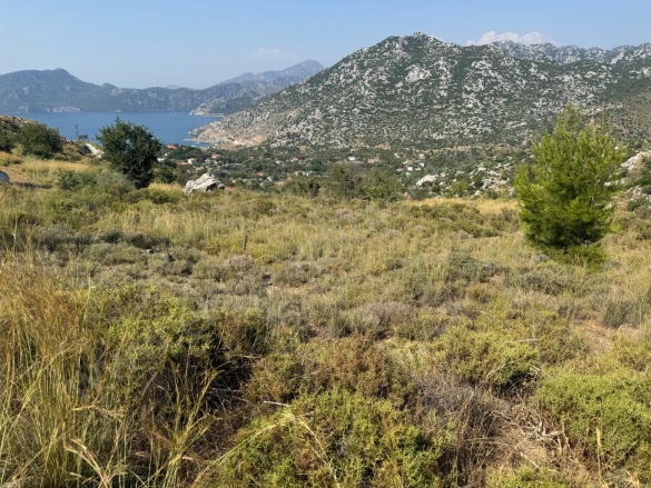 Selimiye Mah. Marmaris Satılık Tarla |  2050M2 10.000.000Tl Resim-4