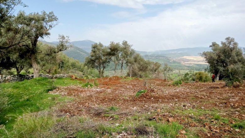 Çamlıca Mah. Milas Satılık Tarla |  1370M2 1.750.000Tl Resim-2