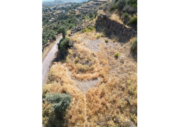 Bozalan Mah. Milas Satılık Tarla |  1333M2 4.500.000Tl Resim-3