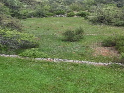 Menteşe Kıran Mah. Satılık Tarla 4000 M2