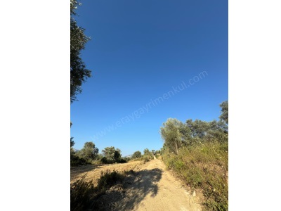 Alatepede Denize 8Km İçerisinde Çatı Kayıtlı Düz Satılık Tarla Milas Alatepe Mah