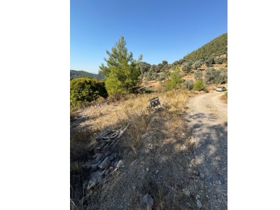 Zeytinköy Denize 5Dk Mesafede Satılık Tarla Menteşe Zeytin Mah