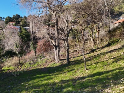 Dağpınarda Köy İçi 211M2 Köyiçi Satılık Arsa Menteşe Dağpınar Mah