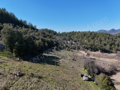 Dağpınarda 3 Dönüm Satılık Tarla Muğla Menteşe Dağpınar Mah