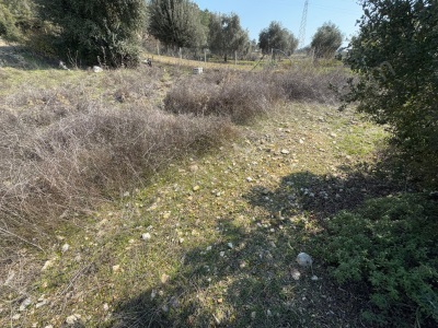 Dağpınarda Ana Yol Kenarı Deniz Manzaralı Satılık Tarla Menteşe Dağpınar Mah