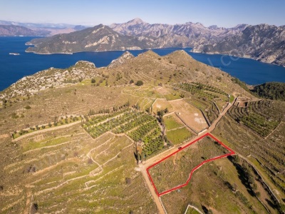 Marmaris Selimiyede 3 179 M2 Satılık Tarla Arazi Selimiye Mah