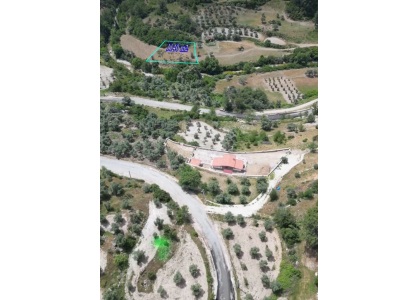 Denize 6Km Mesafede Dere Kenarı Düz Satılık Tarla Menteşe Dağpınar Mah