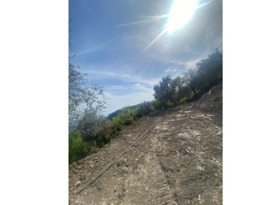 Fırsat Fiyatlı Yer Sahibi Olma Şansını Kaçırmayın Satılık Tarla Milas Yoğunoluk Mah