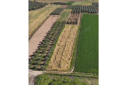 Muğla Ören Yatırımlık Satılık Tarla Milas Mah