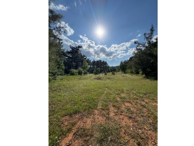 Kıranda Uygun Fiyatlı Satılık Tarla Muğla Menteşe Kıran Mah