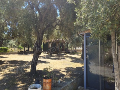 Muğla Çökertmede Yatırımlık Satılık Tarla Milas Çökertme Mah