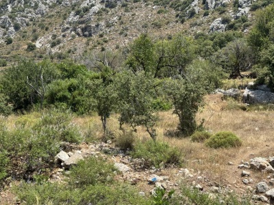 Marmaris Bozburunda Büyük Yatırım ! Satılık Tarla Bozburun Mah