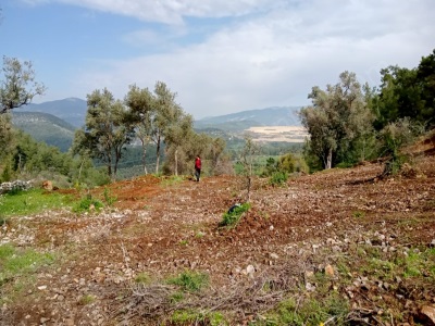 Muğla Çamlıca – 1370 M² Tek Tapu 😊 Satılık Tarla Milas Mah