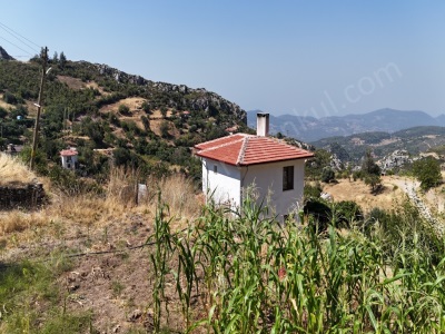 Zeytin Köyde 237 M2 İmarlı Satılık Arsa Menteşe Mah