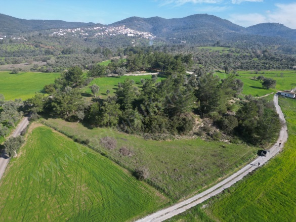 Çömlekçi Mah. Bodrum Satılık Tarla | 5.000.000Tl Resim-1