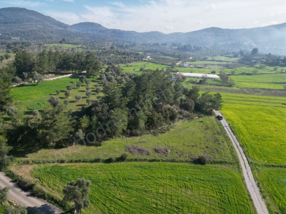 Çömlekçi Mah. Bodrum Satılık Tarla | 5.000.000Tl Resim-5