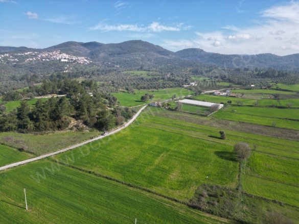 Çömlekçi Mah. Bodrum Satılık Tarla |  6712M2 10.070.000Tl Resim-1